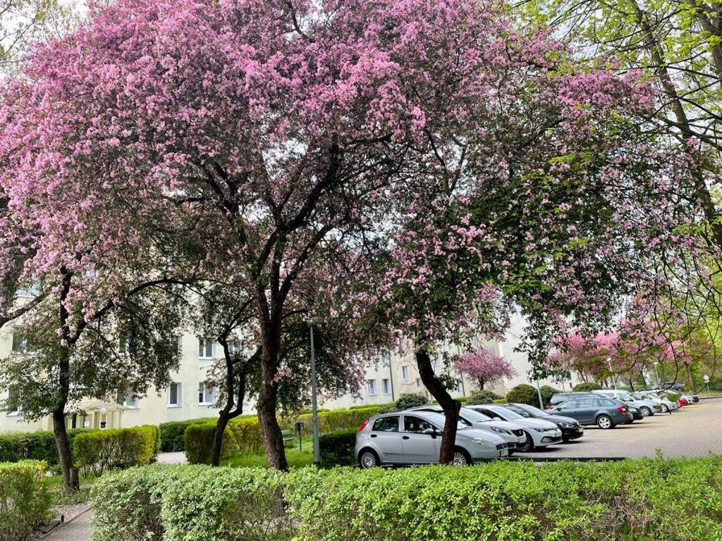 Apartament Rataja50 Olsztyn  Kültér fotó